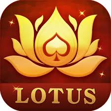 snap teen patti apk download